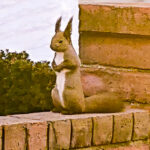 色の変化を見つけましょう、認知症予防、脳トレーニング16