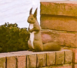 色の変化を見つけましょう、認知症予防、脳トレーニング16